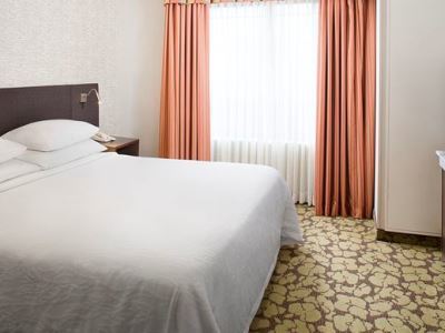 Hilton Garden Wisconsin Dells Hotel